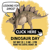 Looking For Dinos Buttons (1)